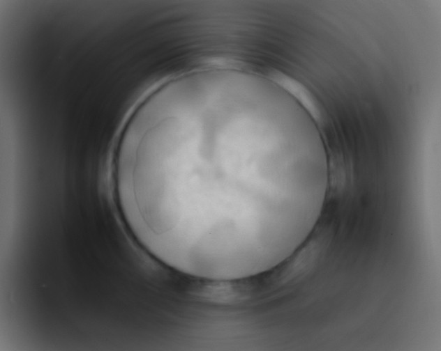 X0000092091098200710031150