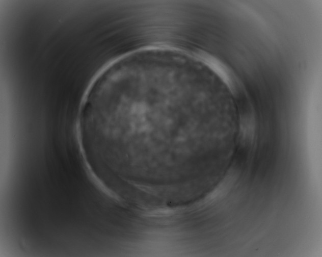 X0000092091100200710031150