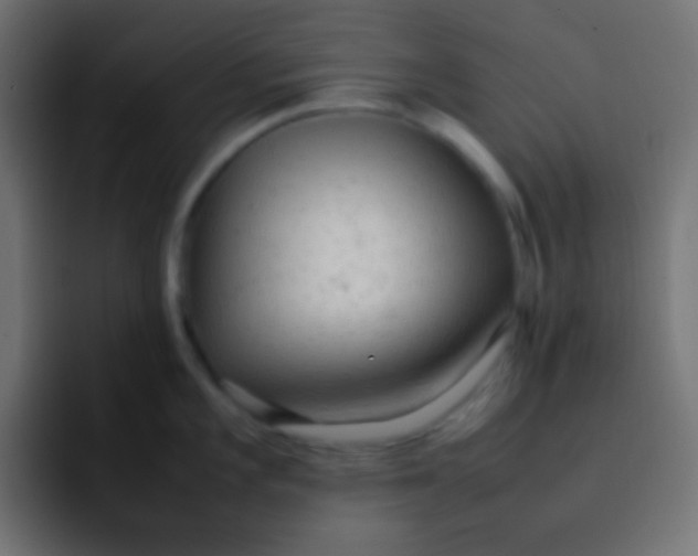 X0000092091101200710031150