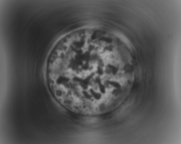 X0000092091103200710031150