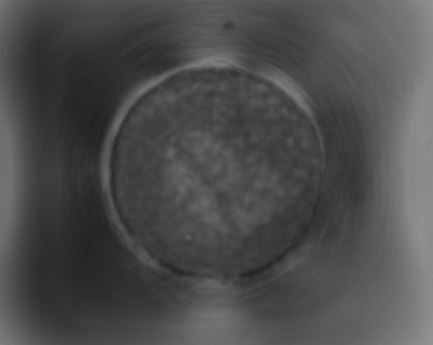 X0000092091104200710031150
