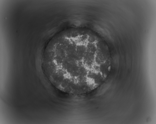 X0000092091105200710031149