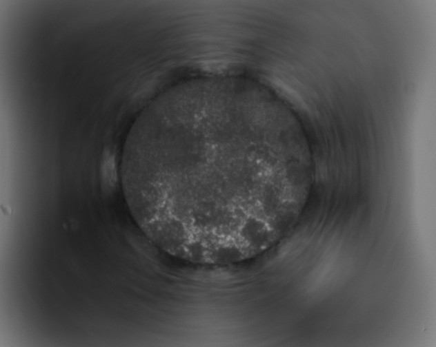 X0000092091106200710031149