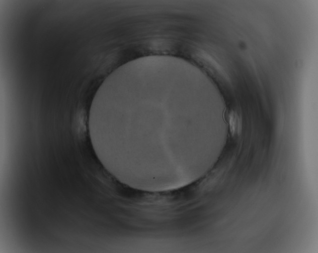 X0000092091107200710031149