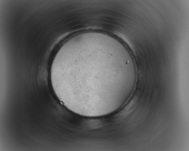 X0000092091115200710031149