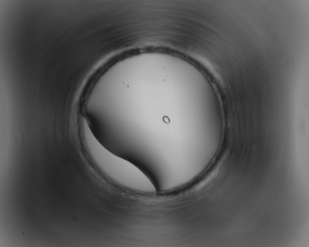 X0000092091118200710031149