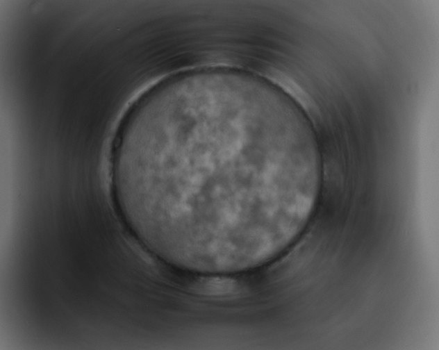 X0000092091119200710031149