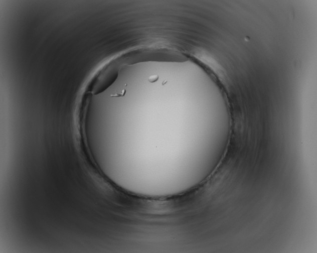 X0000092091120200710031149