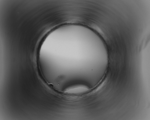 X0000092091122200710031149