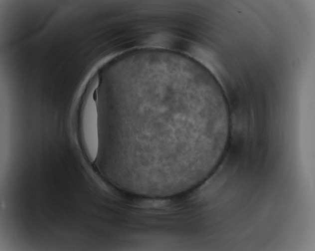 X0000092091123200710031149