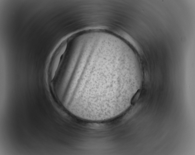 X0000092091124200710031149