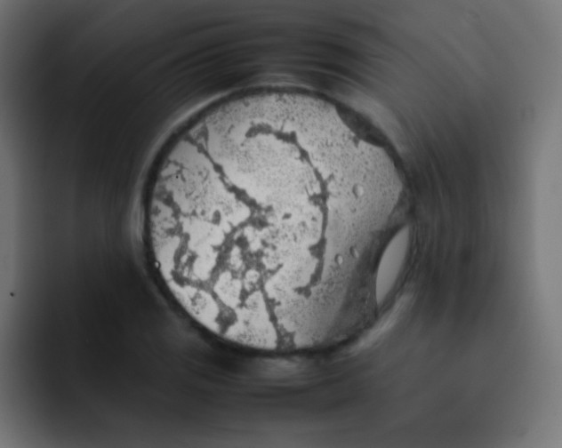 X0000092091125200710031149