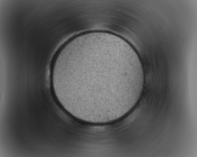 X0000092091126200710031149