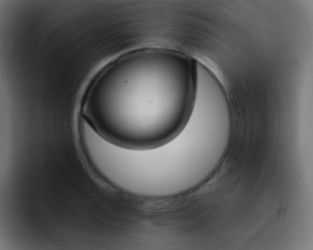 X0000092091128200710031149