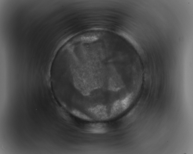 X0000092091129200710031149