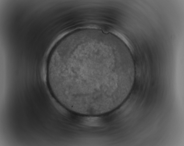 X0000092091131200710031149