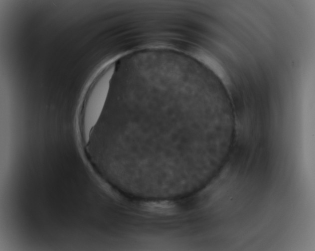 X0000092091133200710031149
