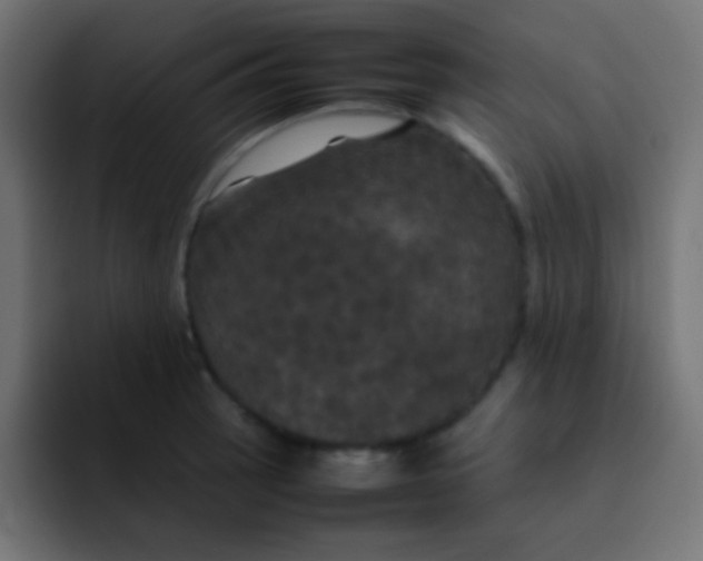 X0000092091137200710031149