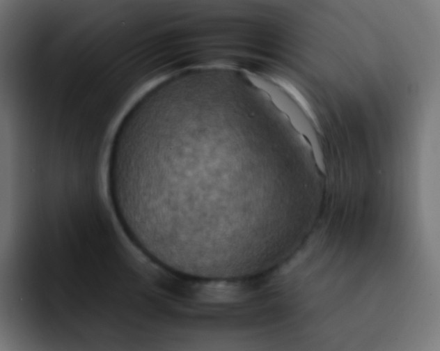 X0000092091139200710031149