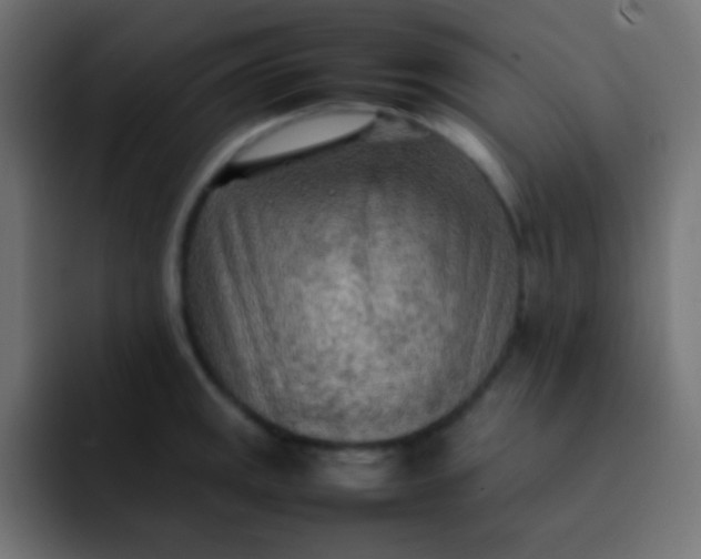 X0000092091141200710031149