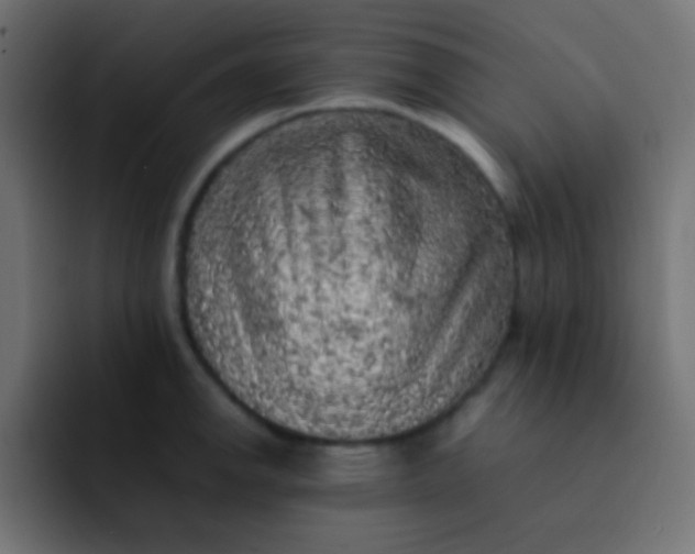 X0000092091142200710031149