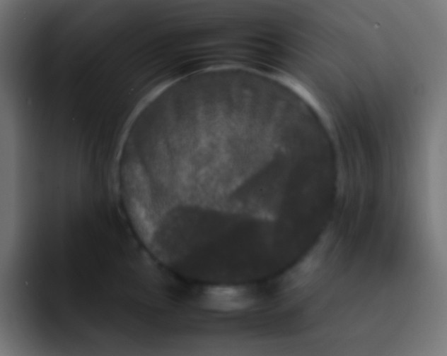 X0000092091145200710031150