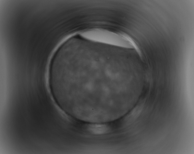 X0000092091147200710031150