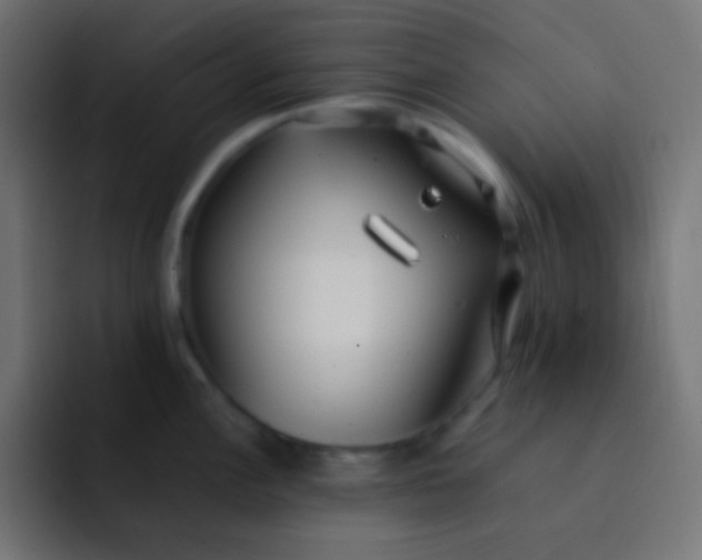 X0000092091148200710031150