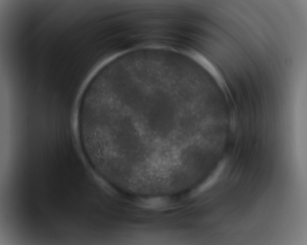 X0000092091149200710031150