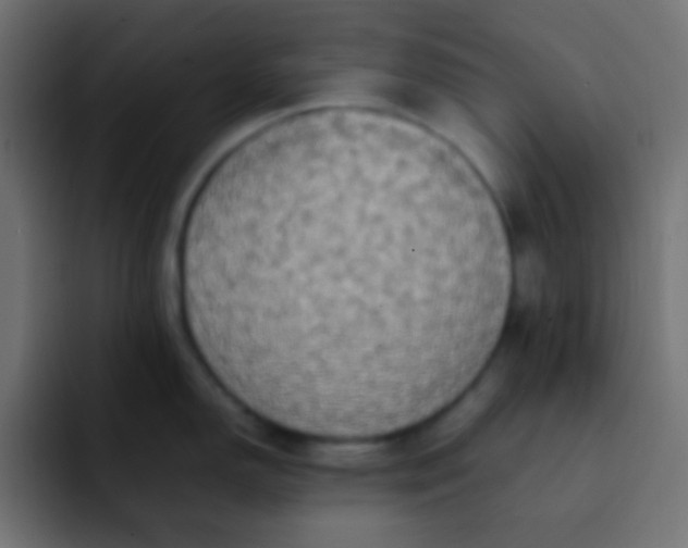 X0000092091150200710031150