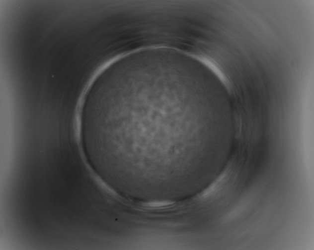X0000092091151200710031150