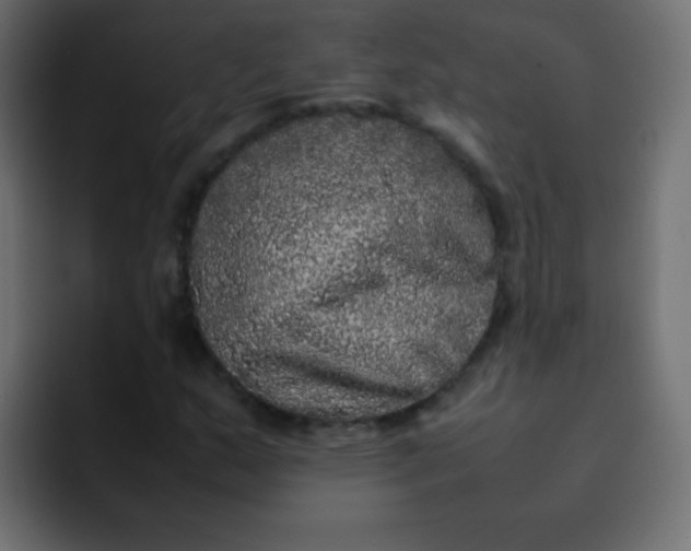 X0000092091159200710031149