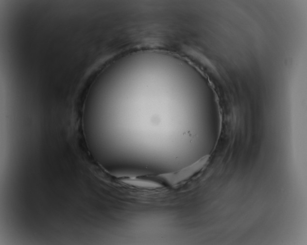 X0000092091160200710031149