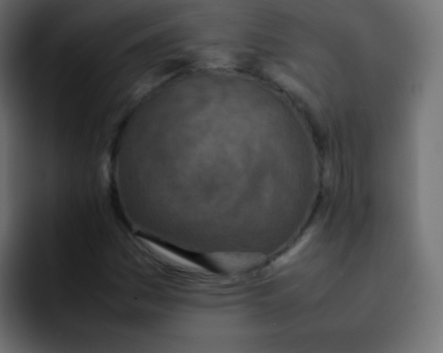 X0000092091161200710031149