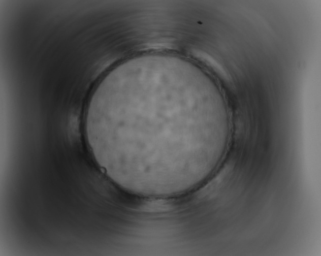 X0000092091162200710031149