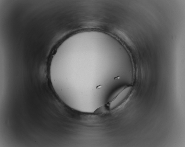 X0000092091164200710031149