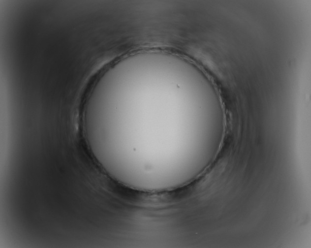 X0000092091165200710031149