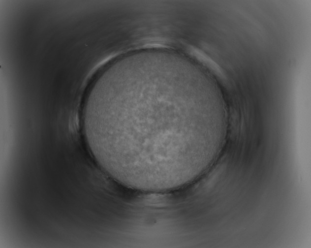 X0000092091166200710031149