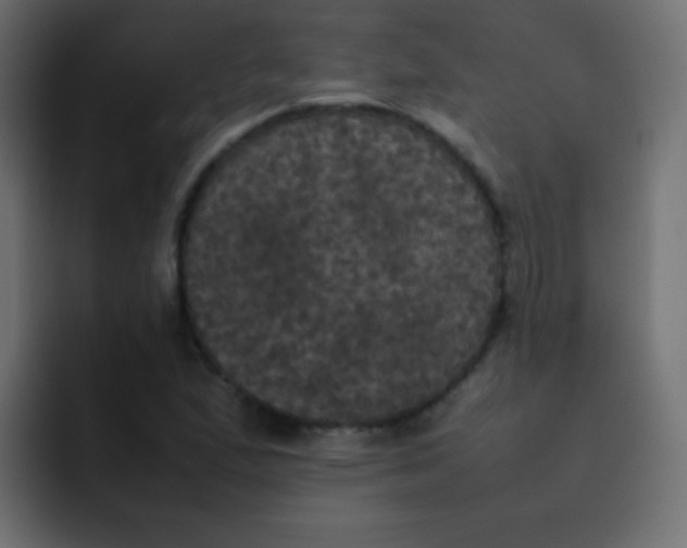 X0000092091167200710031149