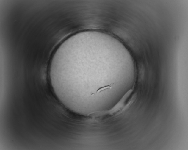 X0000092091170200710031149