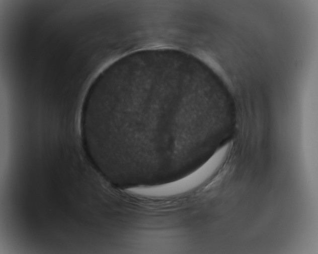 X0000092091173200710031149