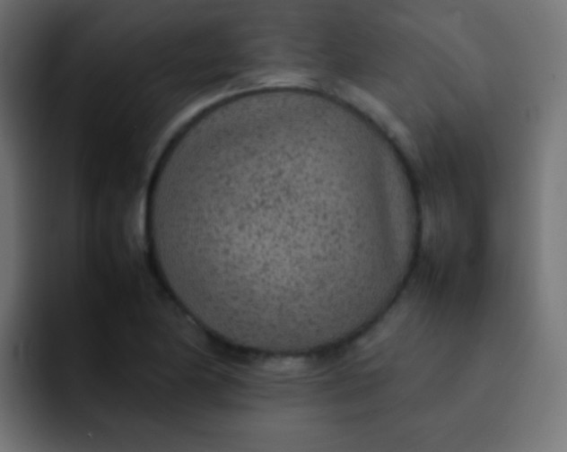 X0000092091174200710031149