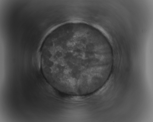 X0000092091175200710031149