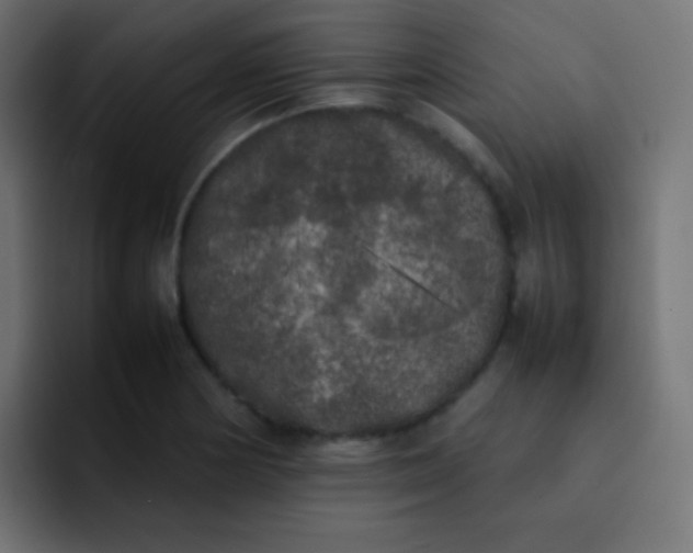 X0000092091178200710031149