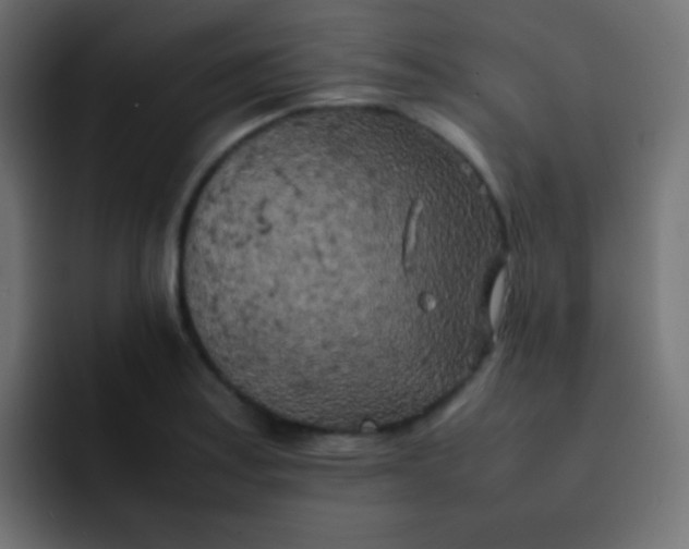 X0000092091179200710031149