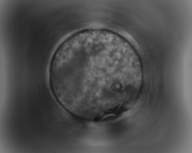 X0000092091183200710031149