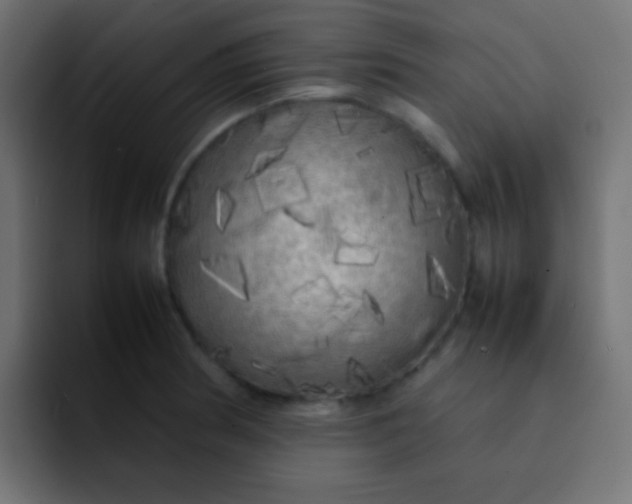 X0000092091186200710031149