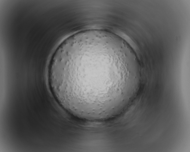 X0000092091187200710031149