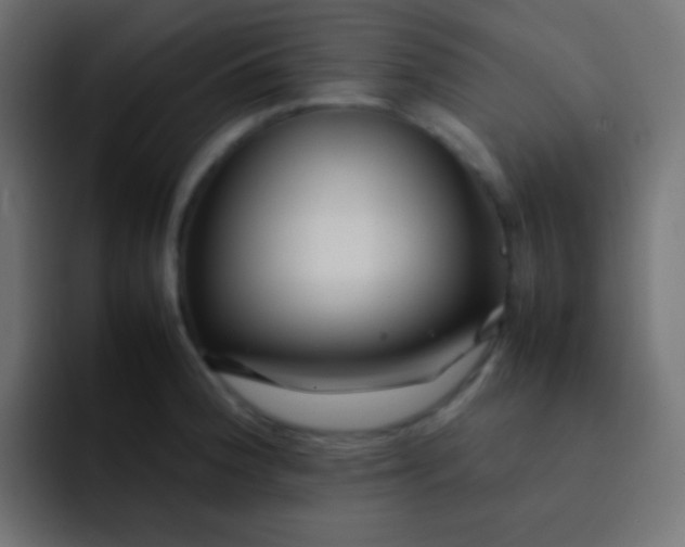 X0000092091188200710031149