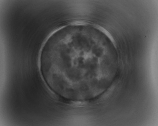 X0000092091195200710031149